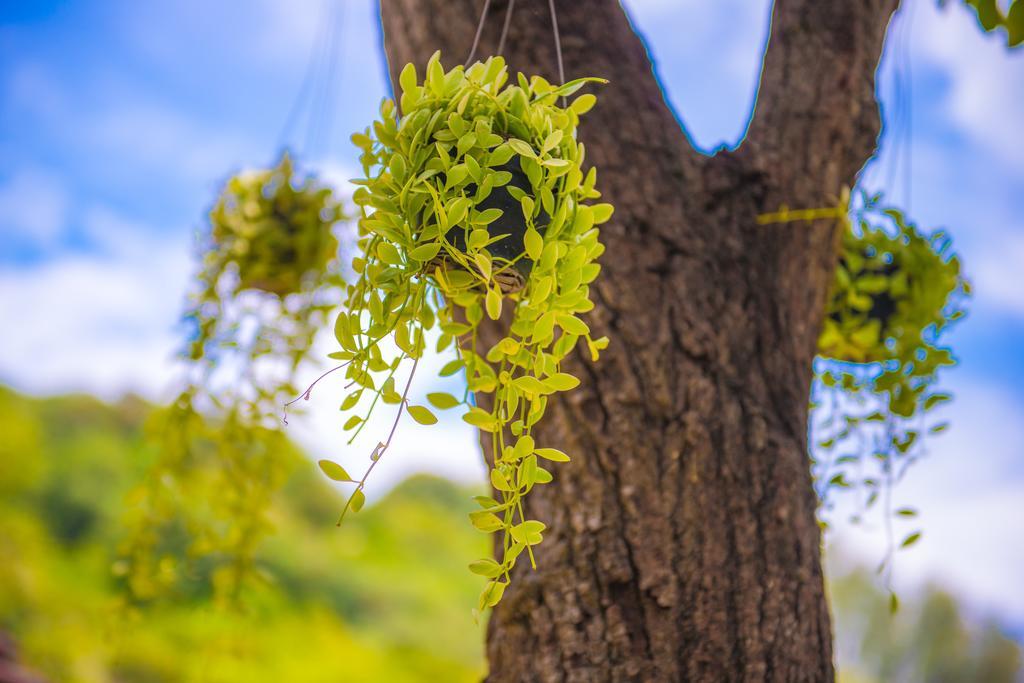 Crystal Wild Resort Panwa Phuket Ngoại thất bức ảnh