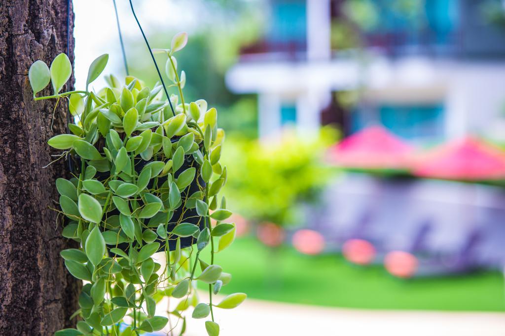 Crystal Wild Resort Panwa Phuket Ngoại thất bức ảnh